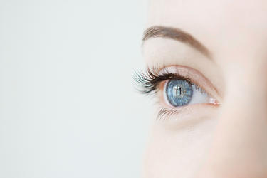 Ocular anatomy and why we need spectacles
